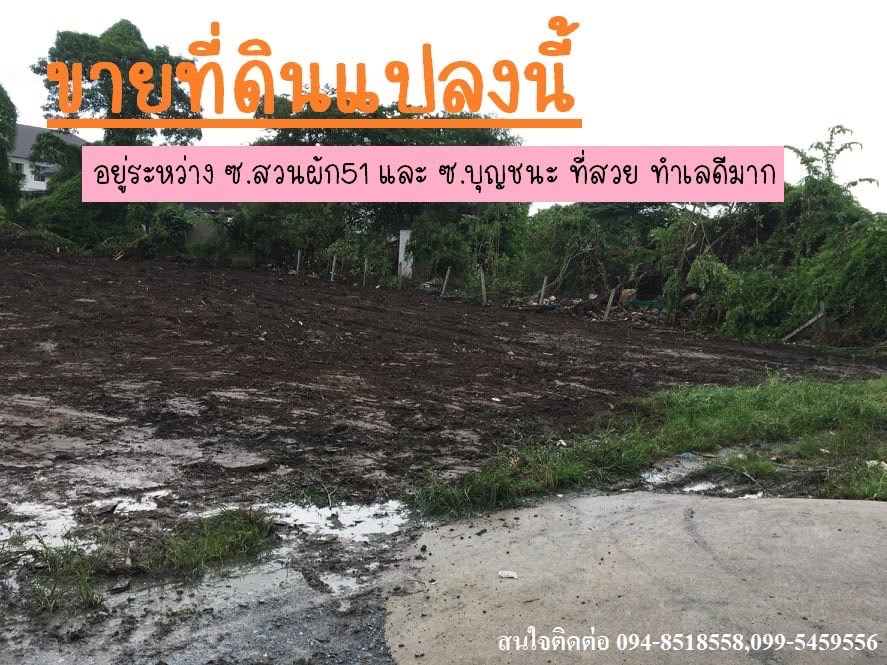 ลงประกาศขายบ้านฟรี ลงประกาศขายที่ดินฟรี ลงประากศขายคอนโดฟรี ลงประกาศขายโรงงานฟรี  ลงประกาศขายโกดังฟรี